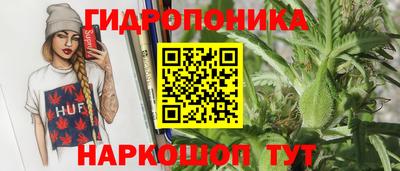 2c-b Лесосибирск