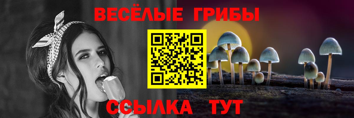 Чебаркуль  Псилоцибиновые грибы мицелий  Вход с VPN  Псилоцибиновые грибы Cubensis 
